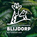 4 x Diergaarde Blijdorp Toegangskaarten 🦍, Tickets en Kaartjes, Drie personen of meer, Ticket of Toegangskaart