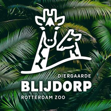 4 x Diergaarde Blijdorp Toegangskaarten 🦍 beschikbaar voor biedingen
