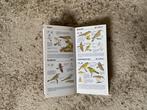 een Vogel Zakgids van Peter Hayman, Ophalen of Verzenden, Nieuw, Vogels, Peter Hayman