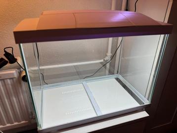 40 Liter Aquarium plus Toebehoren beschikbaar voor biedingen