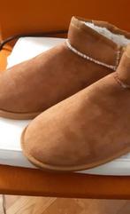 Greyhound damesloffen- nieuw, Bruin, Greyhound, Overige typen, Nieuw