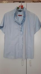 Witteveen, Kleding | Dames, Ophalen of Verzenden, Zo goed als nieuw, Maat 42/44 (L), Blauw