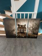 Canvas tijger 3 delen 40 x 80 cm, Ophalen