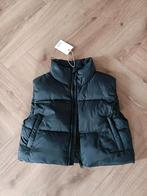 Nw Sylvian H maat 36 bodywarmer, Ophalen of Verzenden, Nieuw, Maat 36 (S)