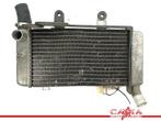RADIATEUR RECHTS Honda VFR 800 Fi 1998-2001 (VFR800Fi RC46), Gebruikt