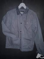 Vans Drill Chore lichte jas zwart maat S, Ophalen of Verzenden, Zo goed als nieuw, Zwart