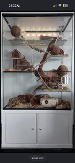 Gerbilarium gezocht!!, Ophalen, Zo goed als nieuw, 90 cm of meer, Hok