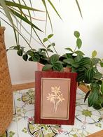 Vintage Edelweiss Bloemenlijst, Ophalen of Verzenden, Hout, Minder dan 50 cm, Minder dan 50 cm