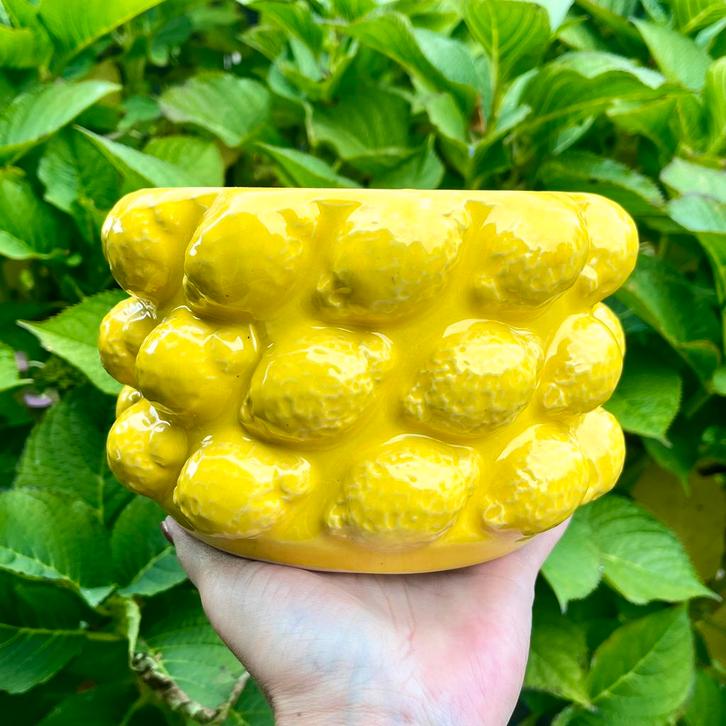 Bloempot citroen keramiek citroenen lemon lage bloempot, Tuin en Terras, Bloempotten, Gebruikt, Overige materialen, Binnen, Minder dan 40 cm