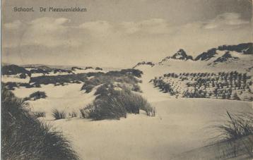 Schoorl - De Meeuwenlekken [KRST005-6671 beschikbaar voor biedingen