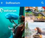 2 entreekaarten Dolfinarium Harderwijk, Tickets en Kaartjes, Twee personen