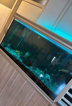 Mooie aquarium Aqualantis te koop met toebehoren, Dieren en Toebehoren, Vissen | Aquaria en Toebehoren, Ophalen, Zo goed als nieuw