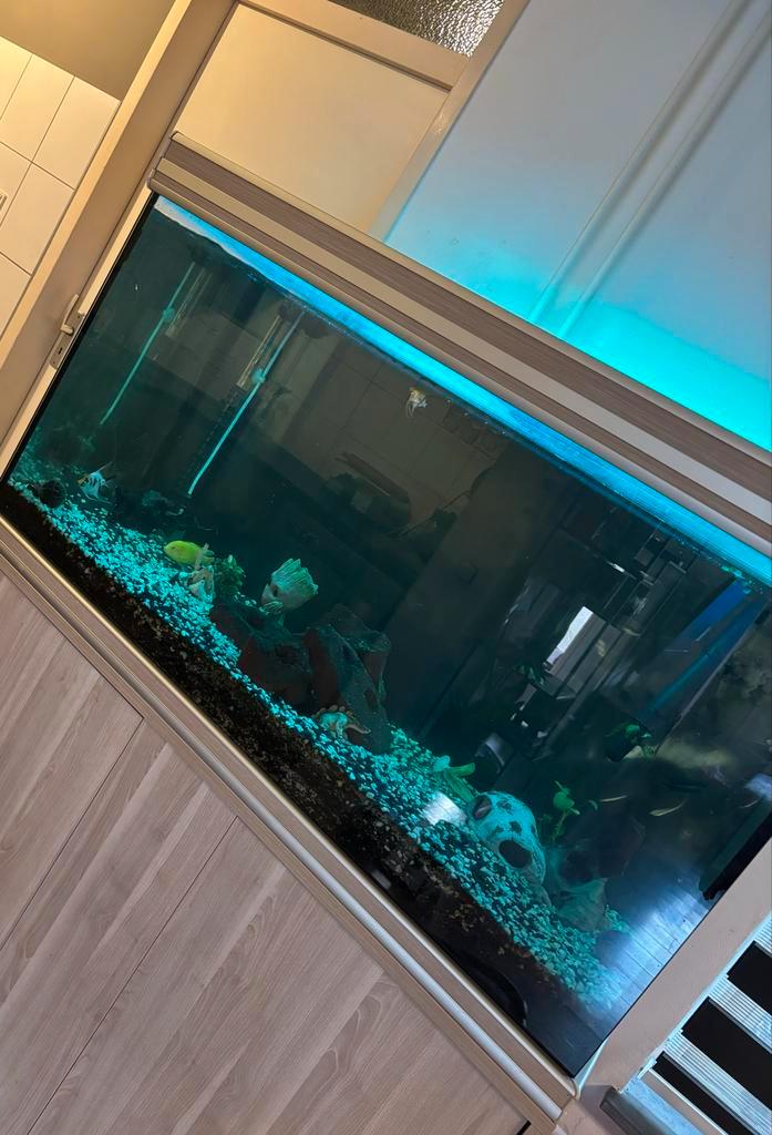 Mooie aquarium Aqualantis te koop met toebehoren, Dieren en Toebehoren, Vissen | Aquaria en Toebehoren, Zo goed als nieuw, Leeg aquarium