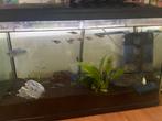 Gevuld aquarium met toebehoren, Dieren en Toebehoren, Vissen | Aquaria en Toebehoren, Ophalen of Verzenden, Gebruikt, Verlichting of Verwarming
