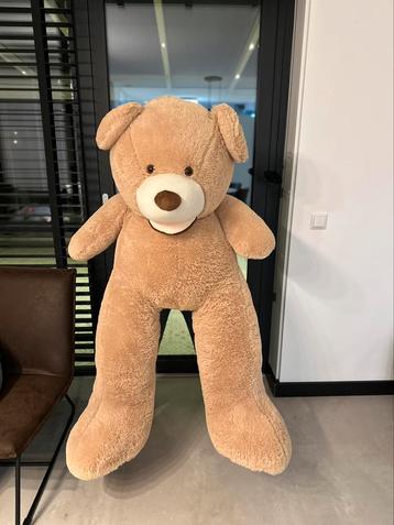 Teddybeer  beschikbaar voor biedingen