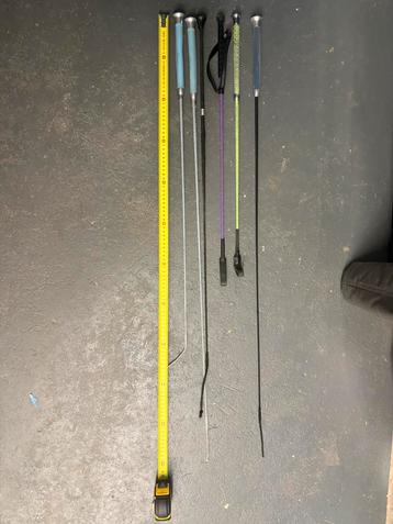 Zweepjes paardrijden beschikbaar voor biedingen