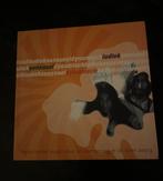 Ludiek Sensueel en Dynamisch - Catalogus, Ophalen of Verzenden, Zo goed als nieuw, Fotografie algemeen