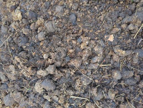 Gratis paardenmest / compost zonder vlas of stro, Tuin en Terras, Aarde en Mest, Ophalen