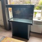 Aquarium Osaka Glossy 100 cm, Dieren en Toebehoren, Ophalen, Gebruikt, Leeg aquarium
