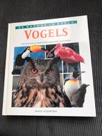 Vogels (de natuur in beeld)- David Alderton, Ophalen of Verzenden, Zo goed als nieuw, Vogels