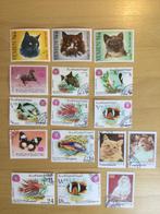 Jemen dieren, Ophalen of Verzenden, Dier of Natuur