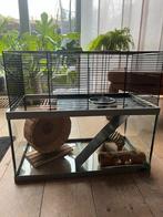 Hamsterkooi, Minder dan 60 cm, Kooi, Minder dan 75 cm, Ophalen of Verzenden