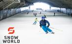 4x 2uurs ticket snowworld, Eén persoon, Ticket of Toegangskaart