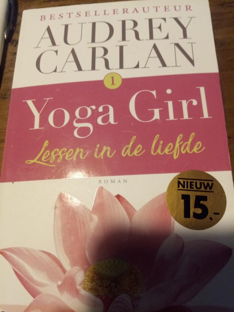 Audrey Carlan - Lessen in de liefde, Boeken, Literatuur, Gelezen, Ophalen of Verzenden