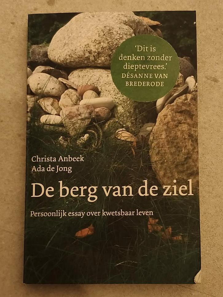 De Berg van de Ziel - Anbeek & de Jong, Boeken, Essays, Columns en Interviews, Zo goed als nieuw, Meerdere auteurs, Ophalen of Verzenden