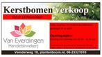 Kerstbomen verkoop!! Groot assortiment zaag en in pot!, Ophalen, Vaste plant, Overige soorten, Halfschaduw