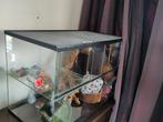 Hamster/knaagdier terrarium, Ophalen, Kooi, Hamster, Minder dan 60 cm