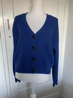 Scotch and soda vest blauw kobalt maat L, Blauw, Maat 42/44 (L), Nieuw, Scotch & Soda