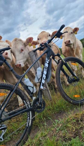 MOET WEG! Trek Marlin 5 XL uit 2020 beschikbaar voor biedingen