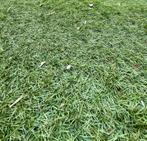 Kunstgras in very good condition, Tuin en Terras, Gras en Kunstgras, Ophalen, Zo goed als nieuw