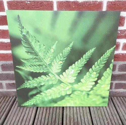 Set Canvas Tuin poosters 50x50 cm, Tuin en Terras, Tuinwanddecoratie, Zo goed als nieuw, Ophalen of Verzenden