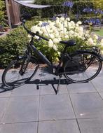 Giant Chill - Damesfiets, Ophalen, Zo goed als nieuw, Giant Chill, 50 tot 53 cm