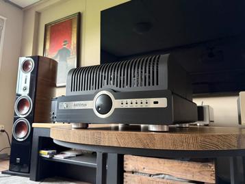 Synthesis A40 Virtus/ Extra set Gold Lion KT66 buizen beschikbaar voor biedingen