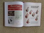 Spanninga, boek "Het Smeden van Licht", Ophalen of Verzenden, Zo goed als nieuw