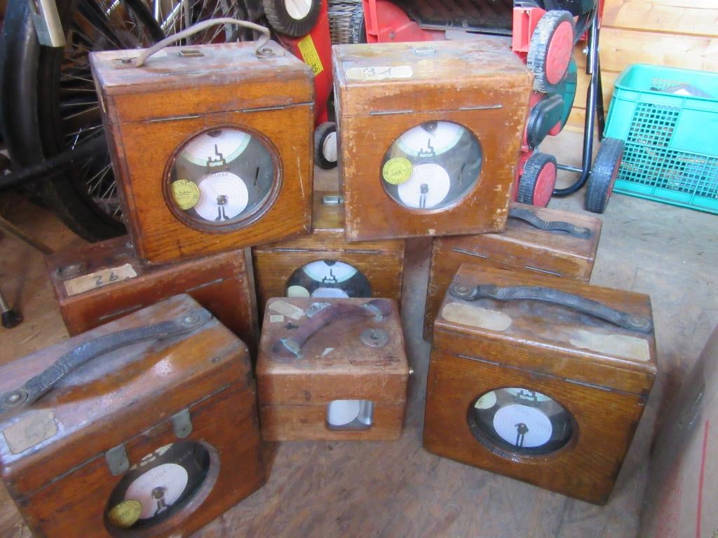 Duivenklokken, Meerdere dieren, Overige soorten