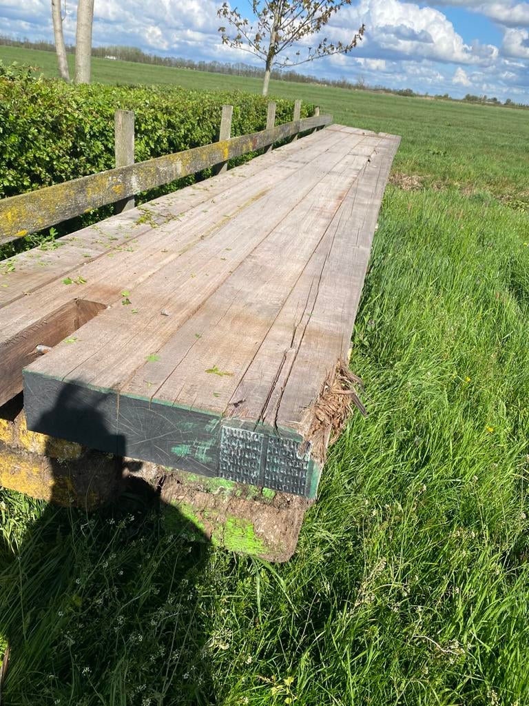 Dragline schotten, Tuin en Terras, Palen, Balken en Planken, Ophalen of Verzenden, Zo goed als nieuw, 250 cm of meer, Palen