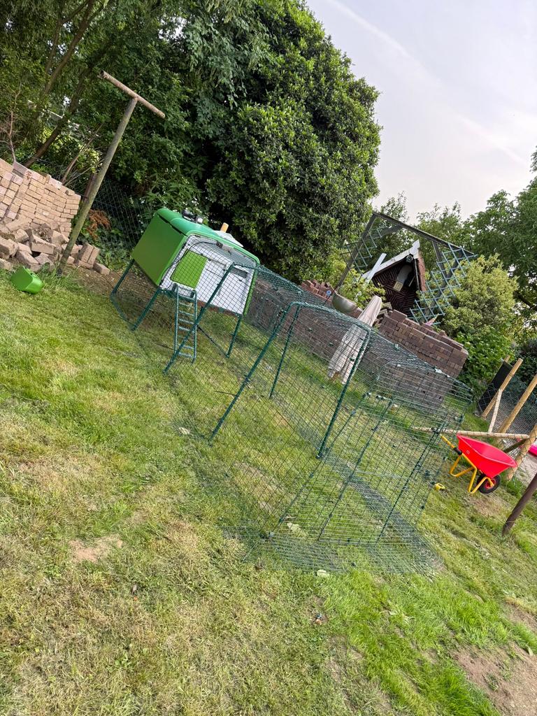 Omlet cube  ren 4 meter exclusief hok!, Dieren en Toebehoren, Ophalen, Gebruikt, Kippenhok of Kippenren