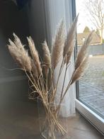 Pampas gras takken bos creme beige pluimen decoratie, Ophalen of Verzenden, Zo goed als nieuw