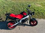 Originele honda monkey zb50 (dax,st50,zb 50,ss50,honda 50), Ophalen, Overige modellen, Maximaal 45 km/u, 49 cc
