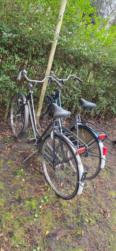 Damesfiets - Batavus, Gebruikt, Batavus, Versnellingen, Ophalen of Verzenden