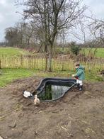 Gezocht Lieve labrador / labradoodle gezinshond gezocht, 1 tot 2 jaar, Teef, Labrador retriever, Eén hond