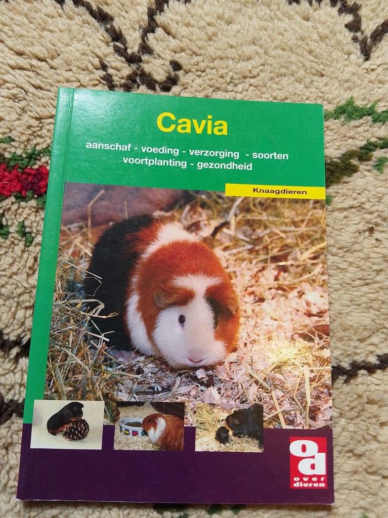 Boek Cavia: aanschaf, voeding, verzorging, soorten, Boeken, Ophalen of Verzenden