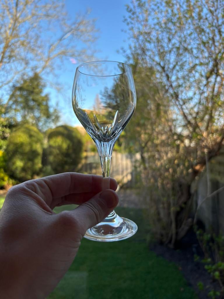 kristallen glazen champagne, cognac en coupe (14 stuks), Antiek en Kunst, Antiek | Glas en Kristal, Ophalen