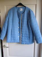 Atelier babyblauw gewatteerde jas nieuw maat 46, Kleding | Dames, Atelier, Blauw, Maat 46/48 (XL) of groter, Nieuw