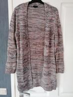 Leuk gekleurd Vest, Ophalen of Verzenden, Zo goed als nieuw, Witteveen, Maat 36 (S)