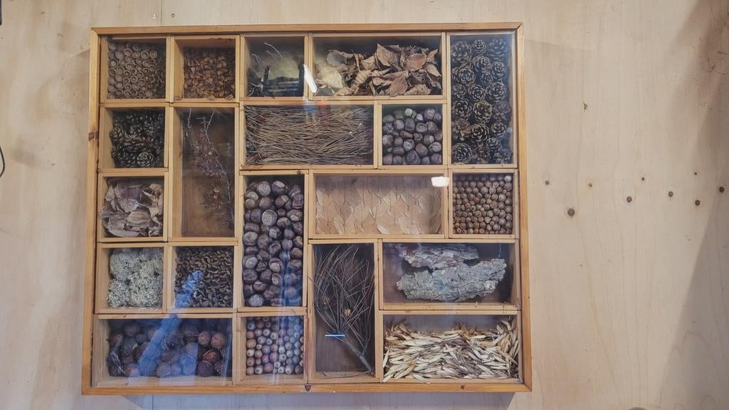 Grote pronkkast museumkast wandkast wandobject, Ophalen, Gebruikt